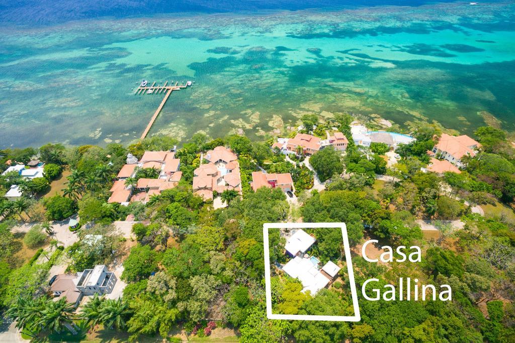 Casa Gallina Sandy Bay 외부 사진